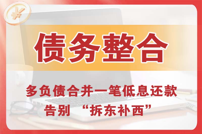 新华债务整合
