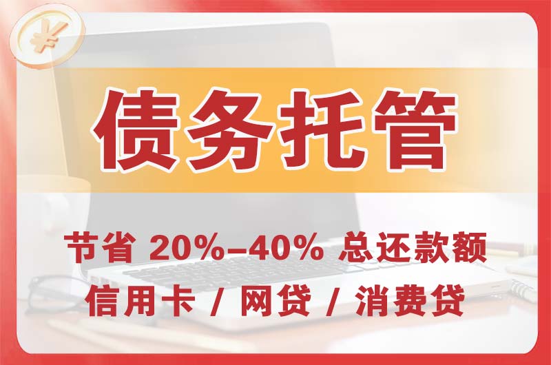 新华债务托管