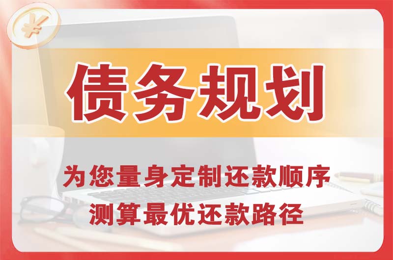 新华债务规划